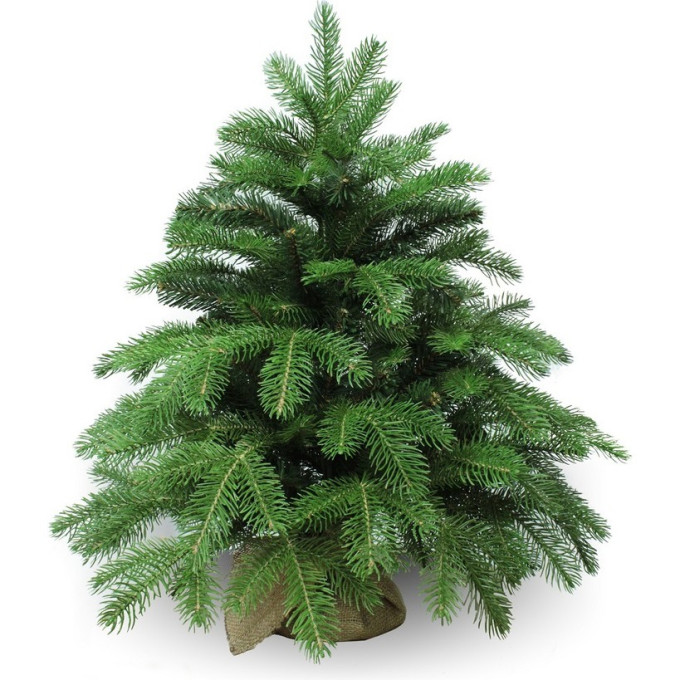 Новогодняя елка TRIUMPH TREE, Нормандия, 60 см, в мешочке, темно-зеленая 73634